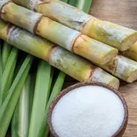 Pure Cane Sugar